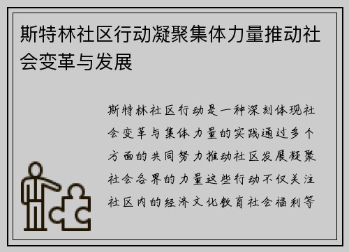 斯特林社区行动凝聚集体力量推动社会变革与发展 斯特林社区行动凝聚集体力量推动社会变革与发展