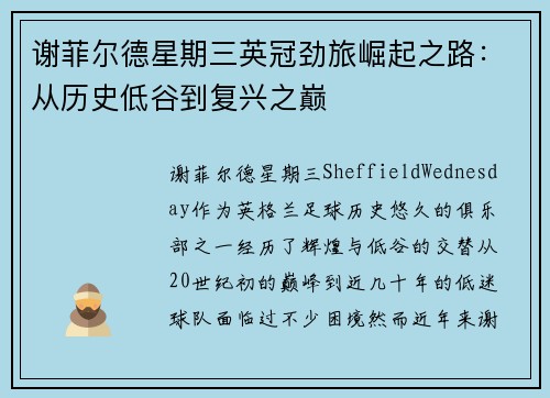 谢菲尔德星期三英冠劲旅崛起之路：从历史低谷到复兴之巅